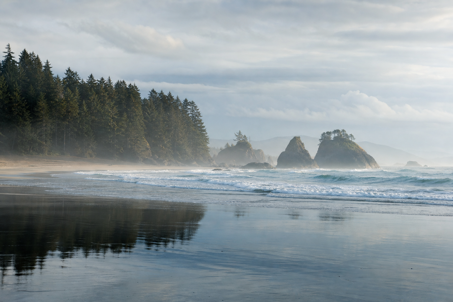 Tofino beach with rolling surf, wet sand reflections, rainforest edge, and sea stacks in mist